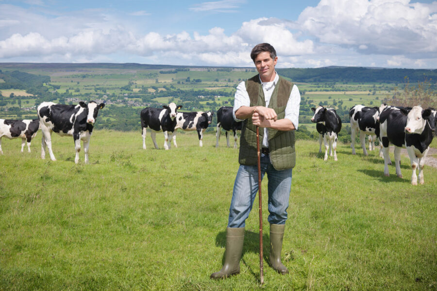 Portrait of farmer and cows in field