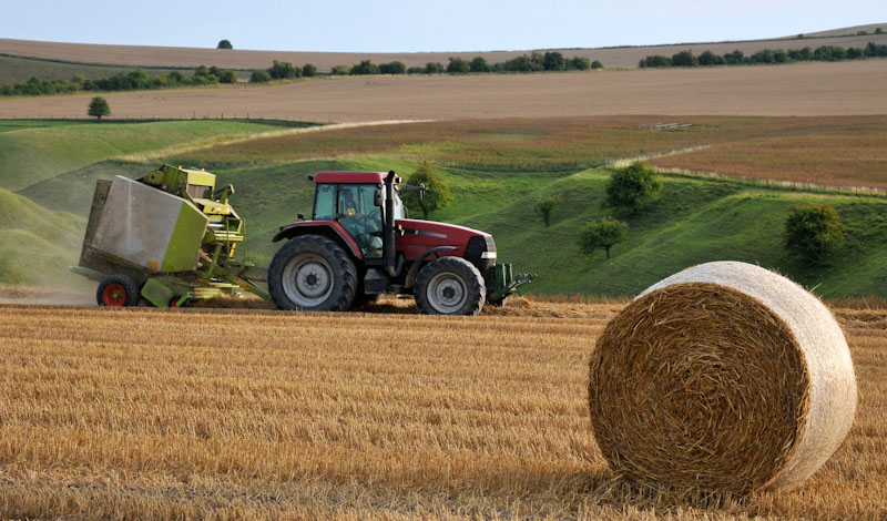 Tractor harvesting in field